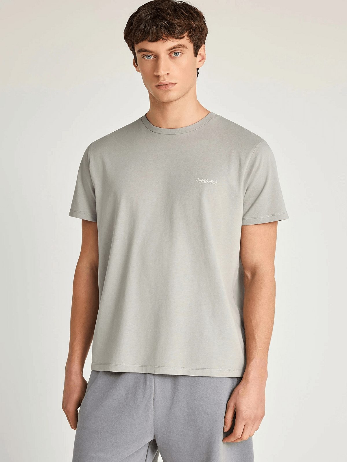 Ανδρικό μονόχρωμο T-shirt Funky Buddha γκρί χρώμα