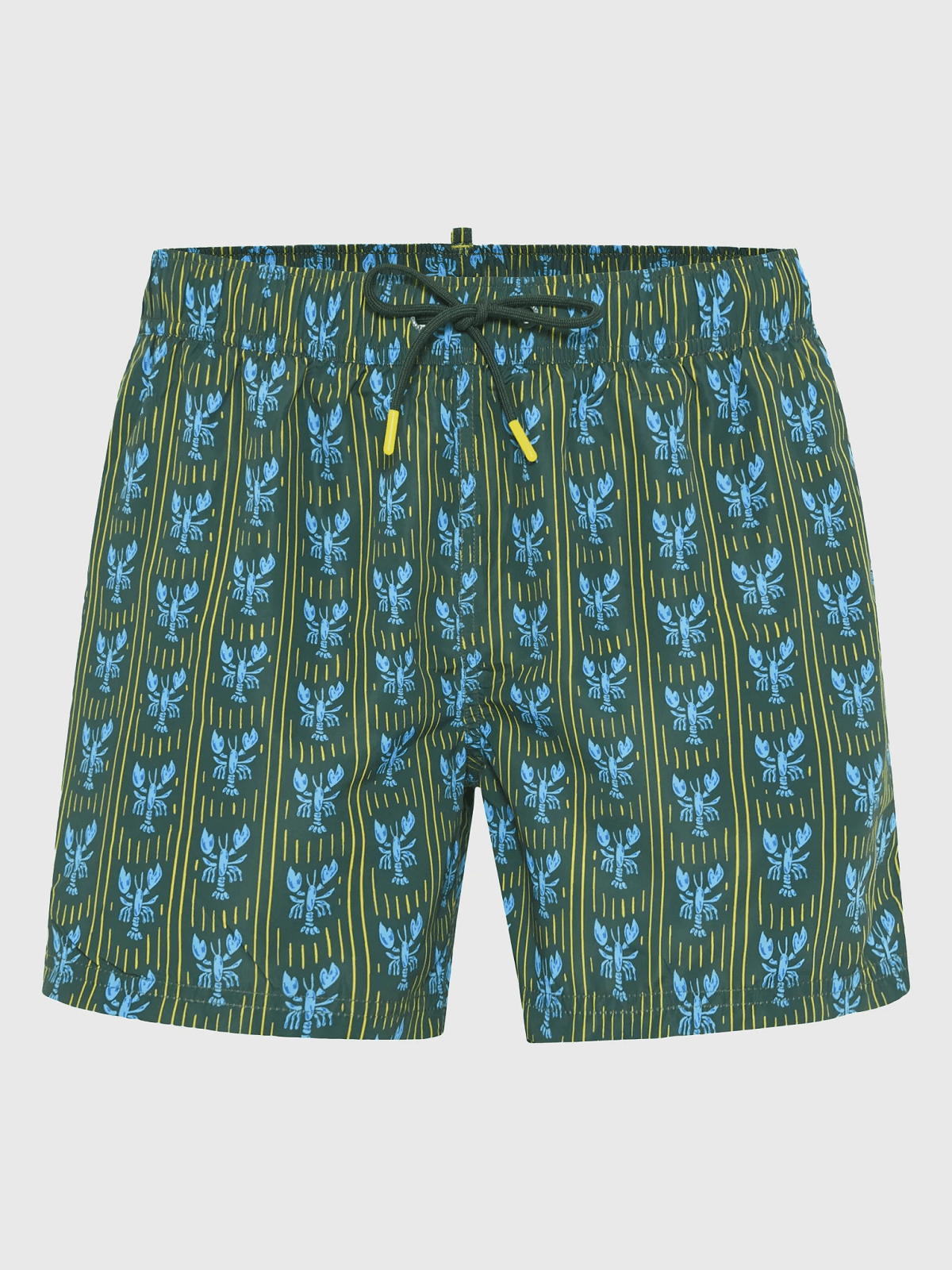 Ανδρικό shorts μαγιό Funky Buddha πράσινο χρώμα