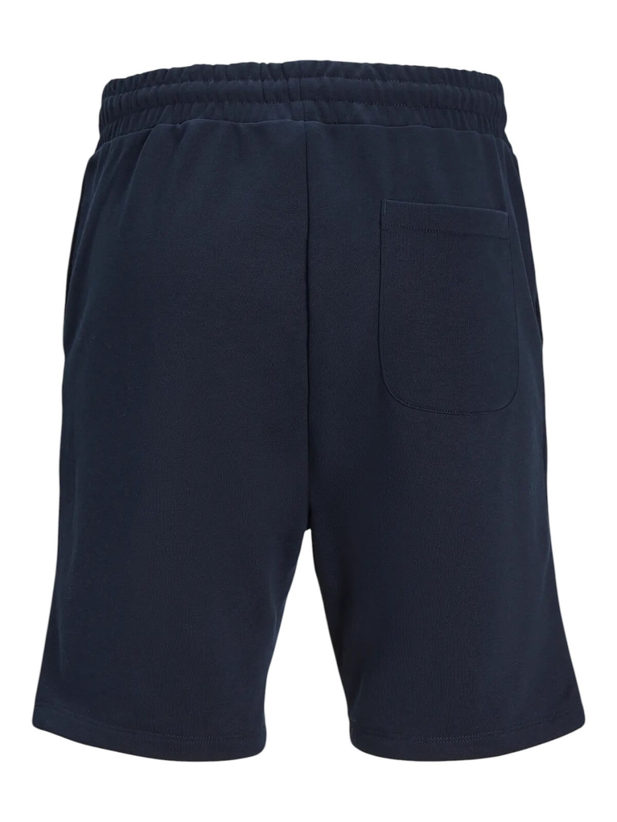 transparent-Photoroom (18)