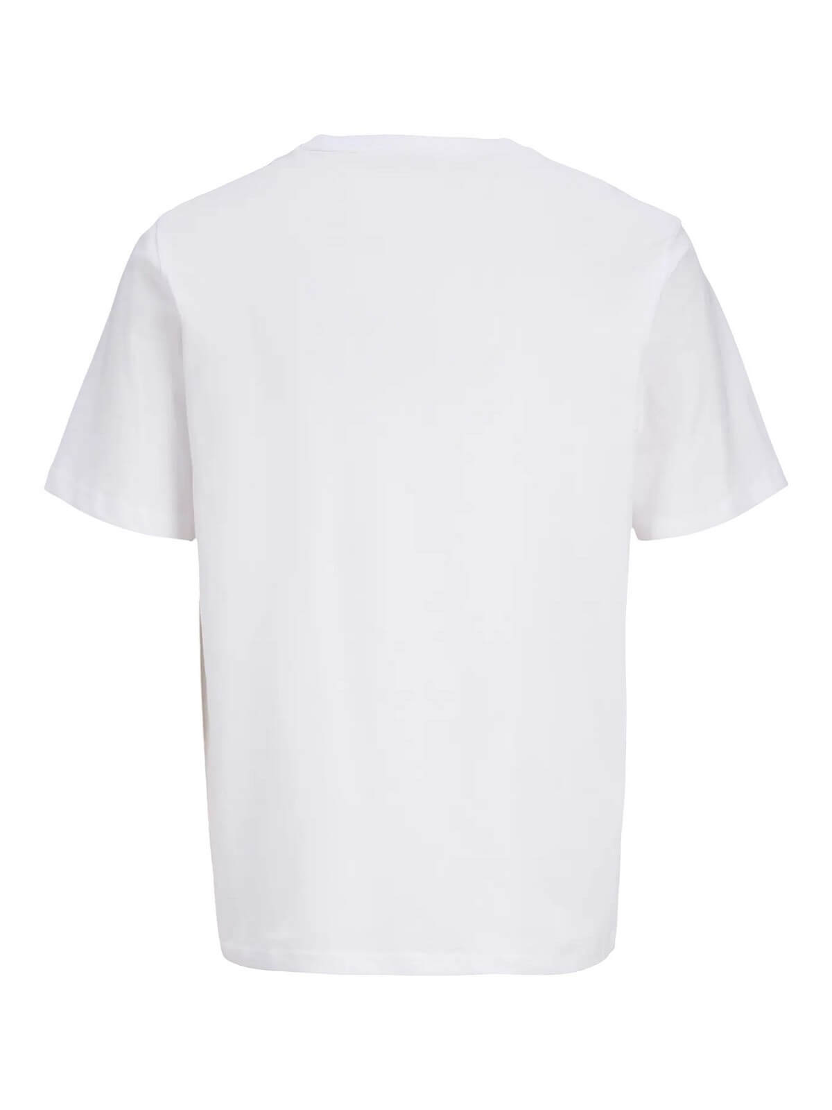 transparent-Photoroom (19)